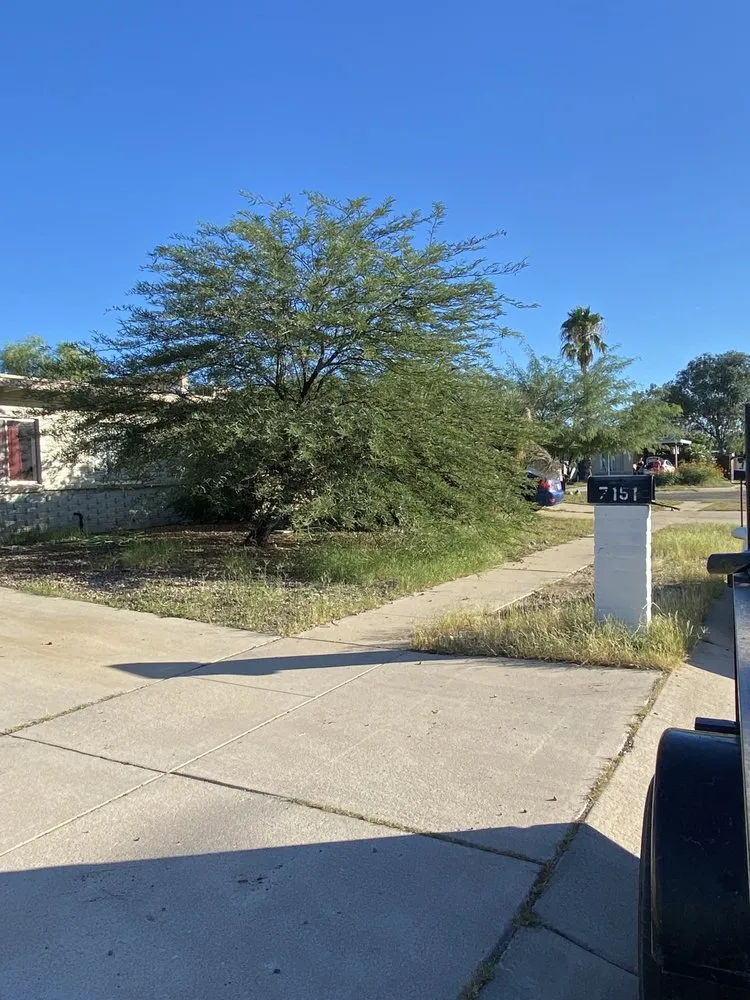 Trusted lawn care service experts serving Tucson, AZ - All A’s Landscaping & Handyman Services