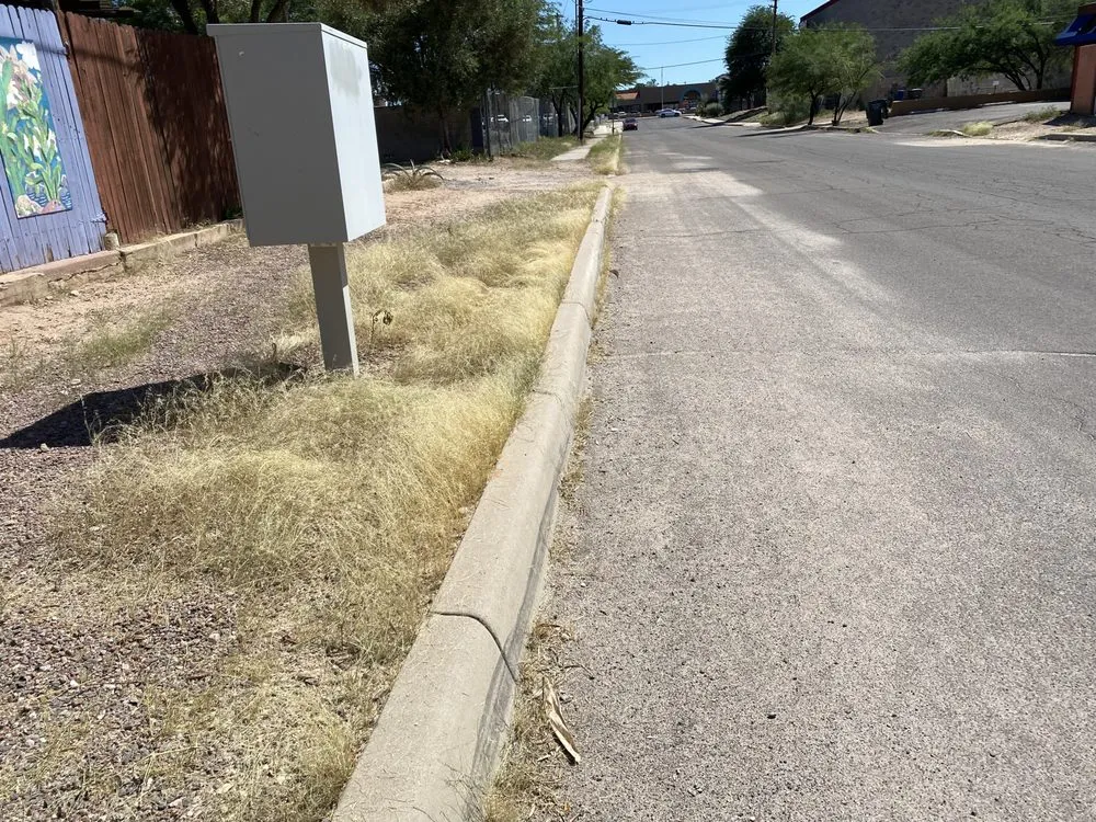 Local garden landscaping for outdoor upgrades in Tucson, AZ by All A’s Landscaping & Handyman Services