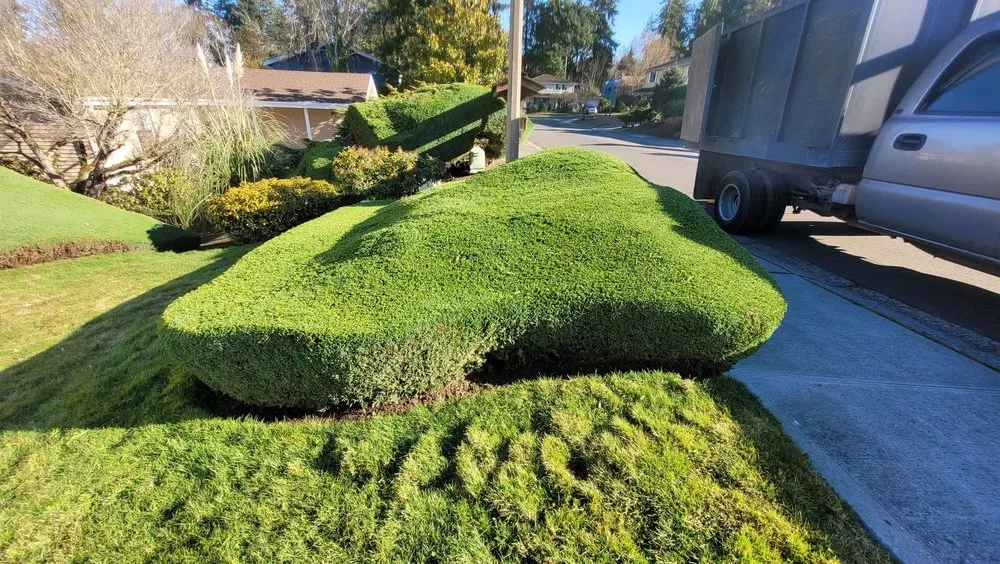 Affordable landscaping services for residential properties across Auburn, WA - All Aspects
