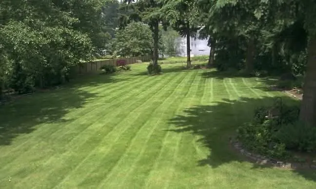 Top-rated outdoor landscaping experts serving Auburn, WA - All Aspects