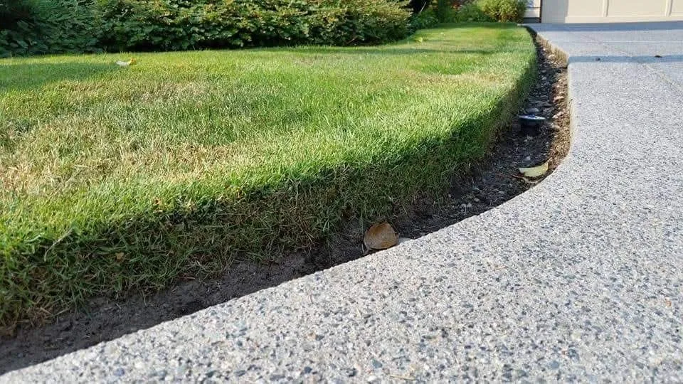 Expert yard cleanup service for residential properties across Auburn, WA - All Aspects