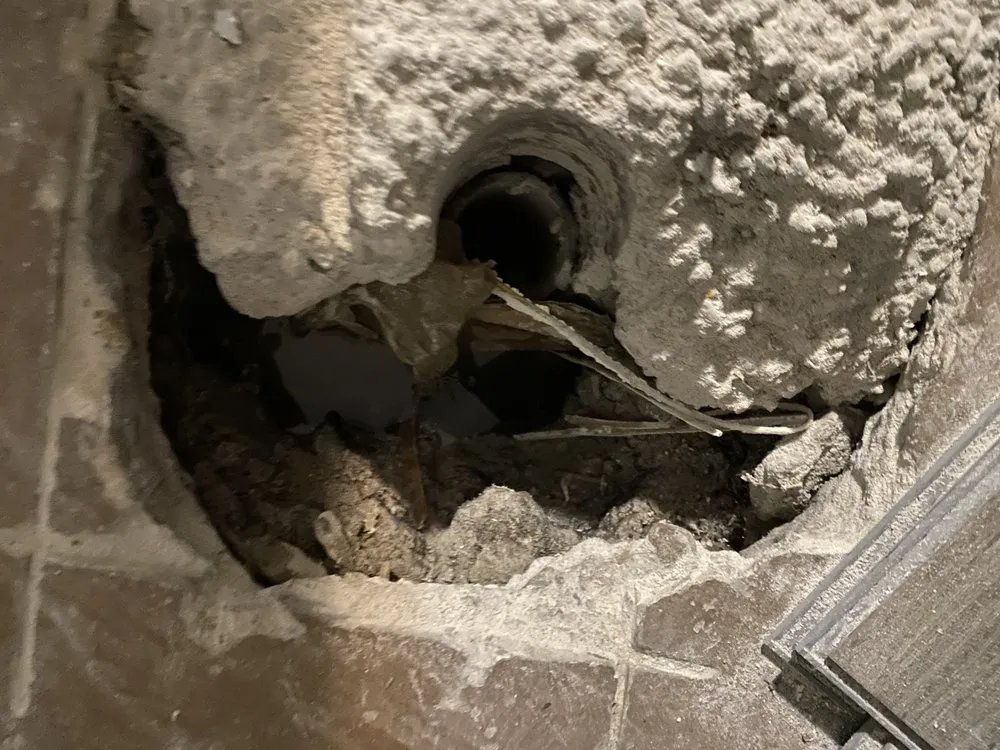 Professional landscape installation experts serving North Charleston, SC - All Aspects Designs and Renovations