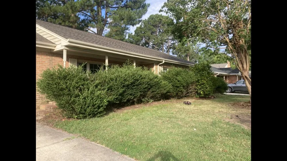 Professional lawn care service experts serving Virginia Beach, VA - All Aspects Landscaping