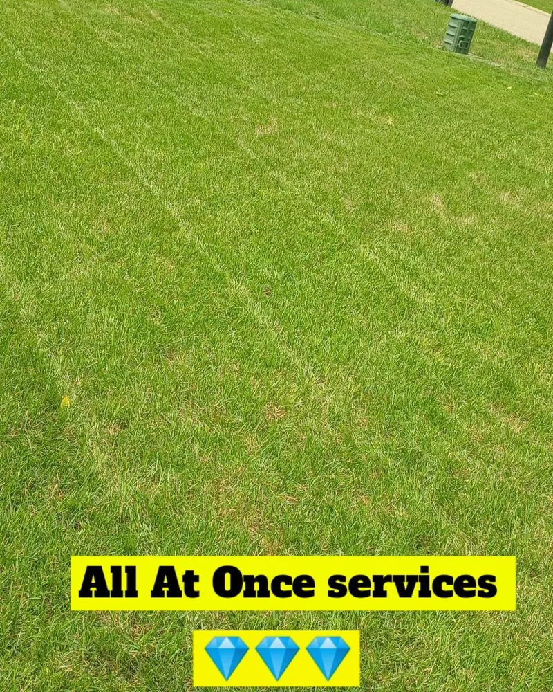 Local residential landscaping for residential properties in South Saint Paul, MN by All At Once services