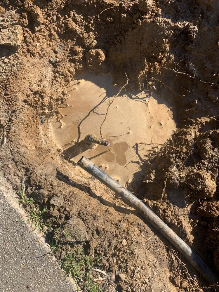 Professional residential landscaping for beautiful yards across Sacramento, CA - All Backyard Pro