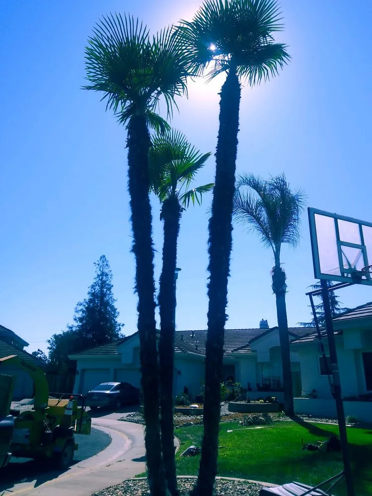 Top-rated outdoor landscaping experts serving Sacramento, CA - All Backyard Pro