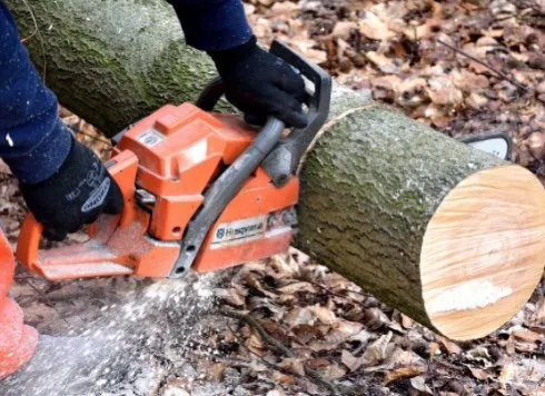 Custom yard maintenance in Sacramento, CA by All Backyard Pro