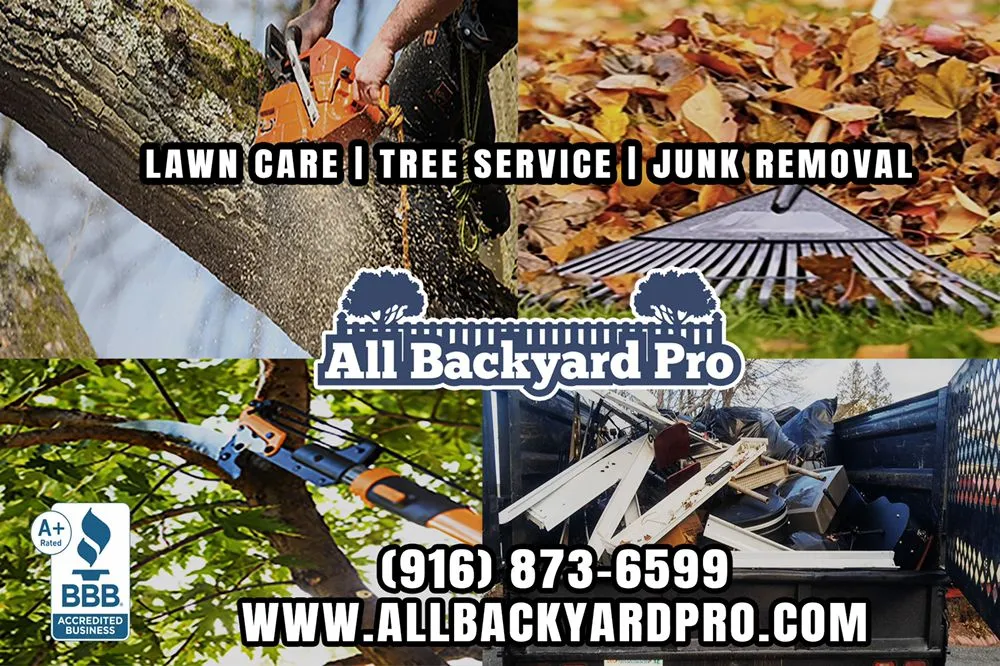 Local garden landscaping experts serving Sacramento, CA - All Backyard Pro