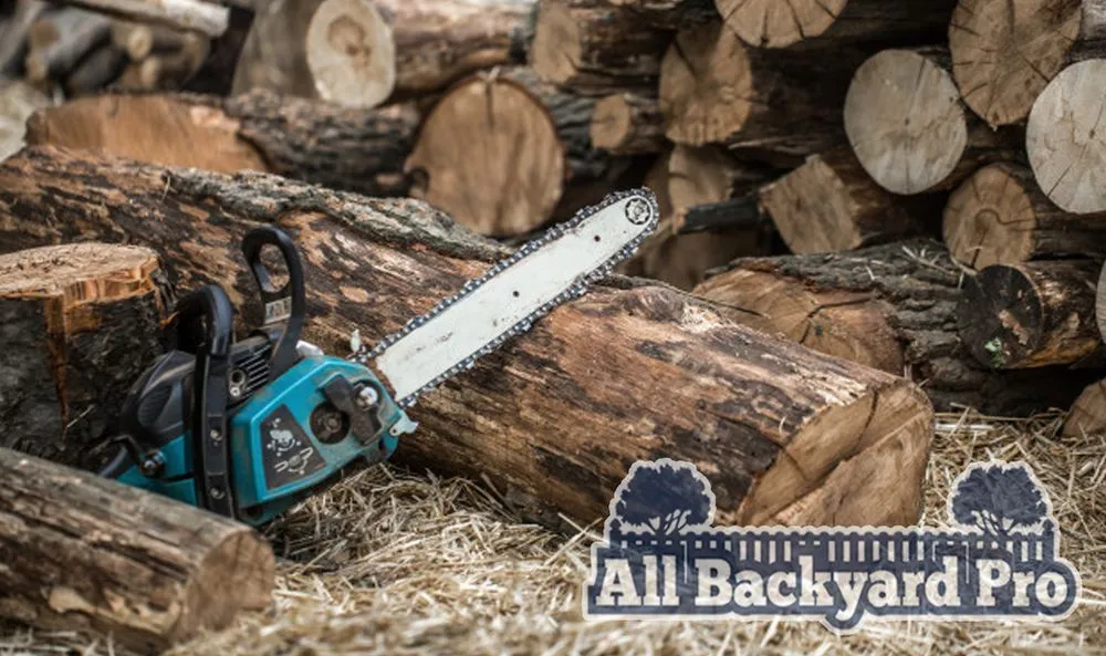 Trusted landscaping services with custom design across Sacramento, CA - All Backyard Pro