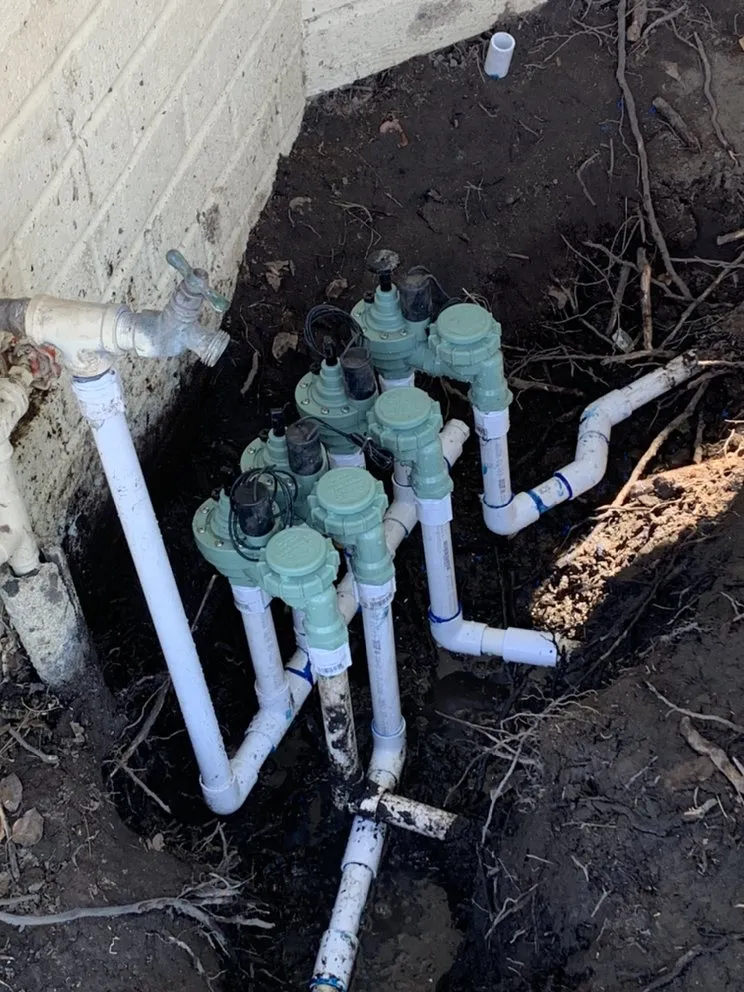 Professional outdoor landscaping in Sacramento, CA by All Backyard Pro