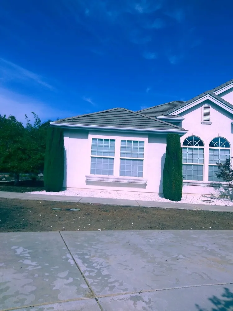 Custom yard cleanup service in Sacramento, CA by All Backyard Pro