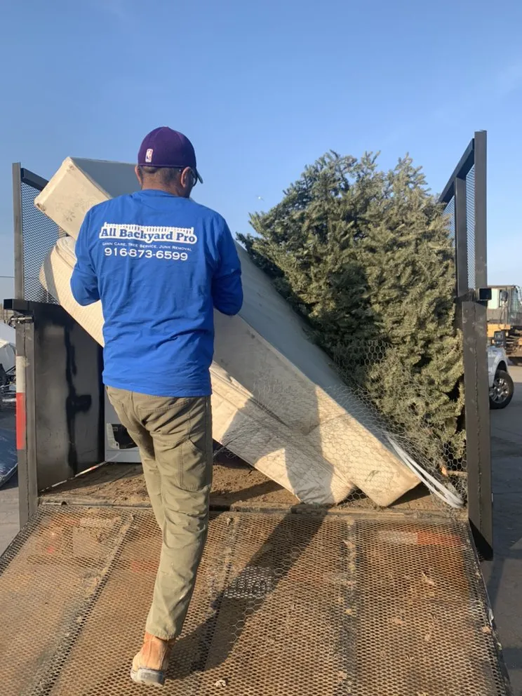 Trusted landscape installation for outdoor upgrades in Sacramento, CA by All Backyard Pro