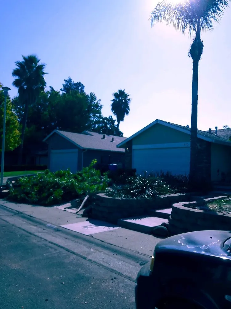 Local garden landscaping for homes across Sacramento, CA - All Backyard Pro