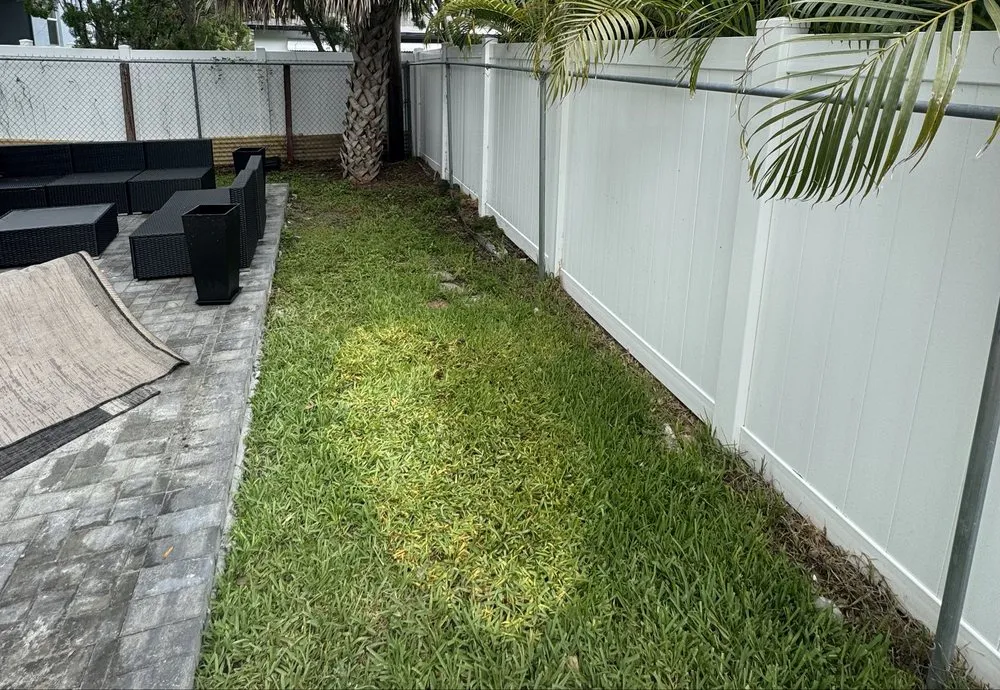 Reliable lawn care service in Tampa, FL by All Better Services
