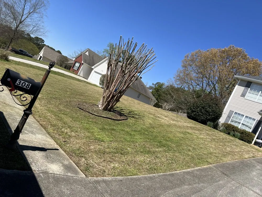 Affordable lawn mowing service in Dacula, GA - All Biz Lawn Service