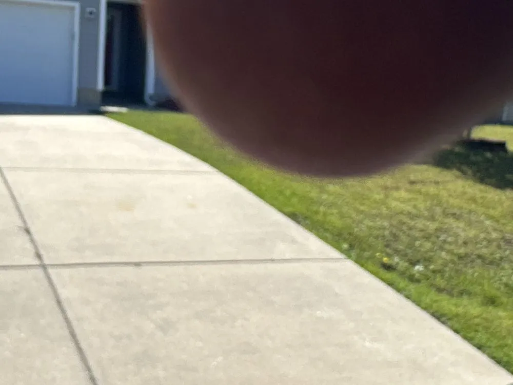 Local lawn care service in Sanford, NC by All Black Garyl Lawn Care