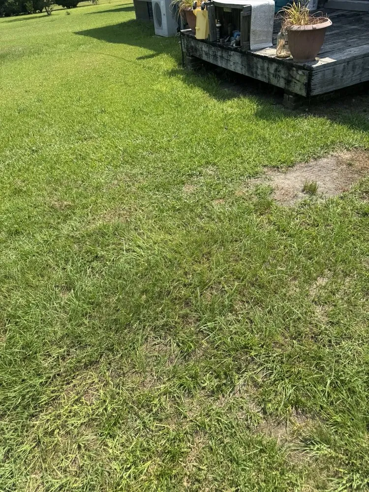 Expert residential landscaping in Sanford, NC - All Black Garyl Lawn Care