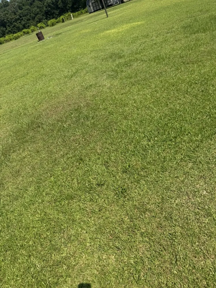 Top-rated landscaping services in Sanford, NC - All Black Garyl Lawn Care