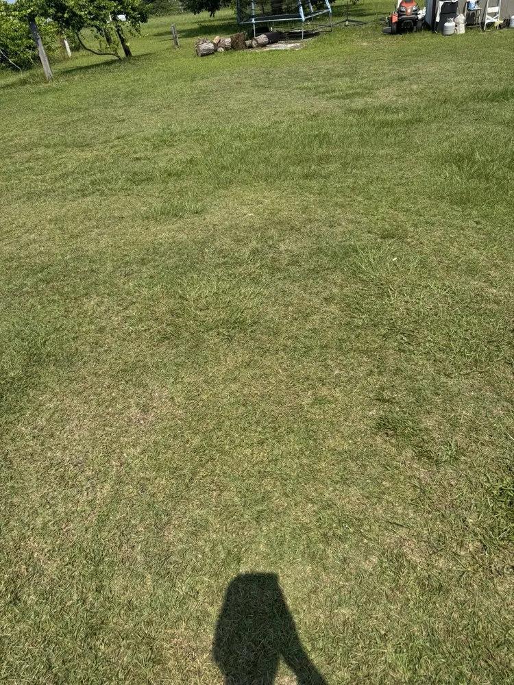 Top-rated landscaping services for residential properties across Sanford, NC - All Black Garyl Lawn Care