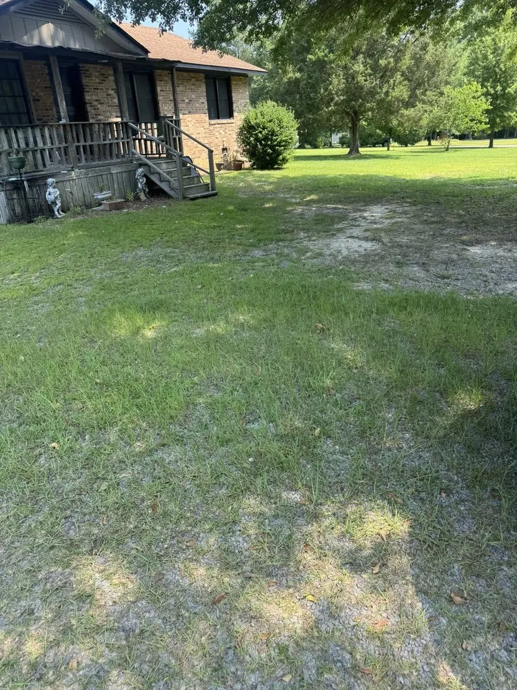 Professional landscape design in Sanford, NC - All Black Garyl Lawn Care