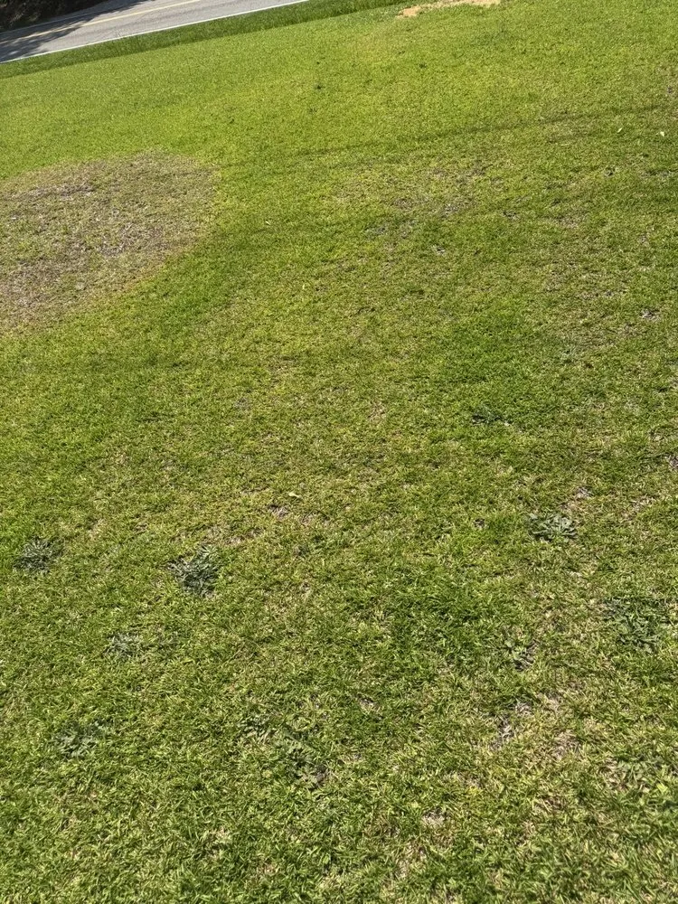 Reliable lawn care service experts serving Sanford, NC - All Black Garyl Lawn Care