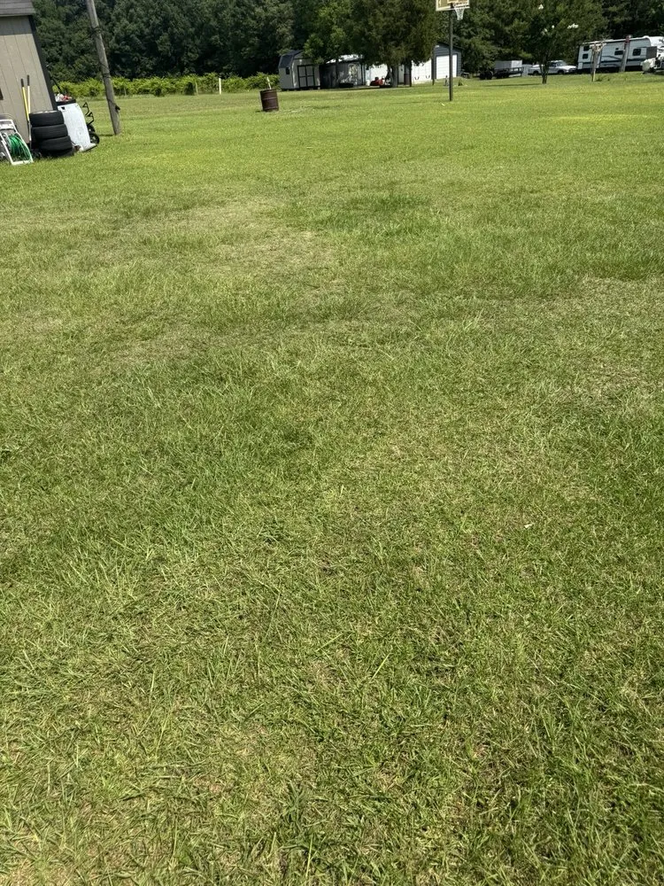 Affordable residential landscaping for outdoor upgrades across Sanford, NC - All Black Garyl Lawn Care