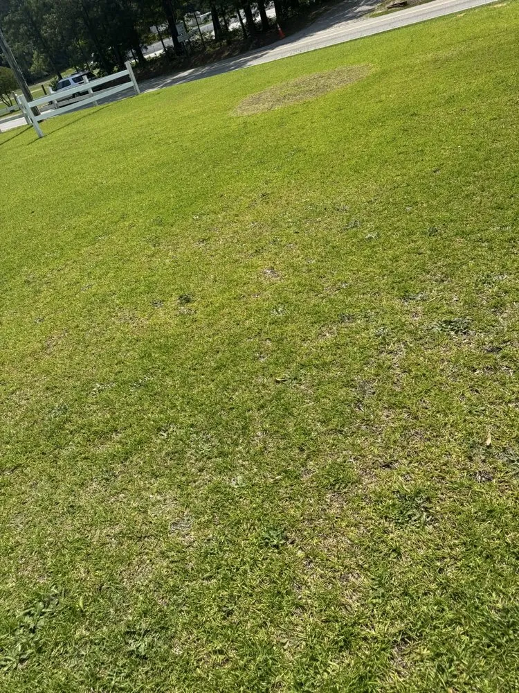 Custom landscape installation experts serving Sanford, NC - All Black Garyl Lawn Care