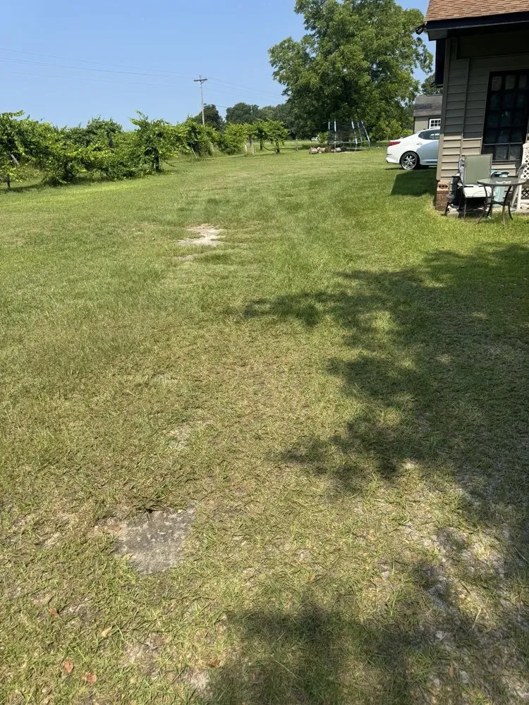 Top-rated lawn mowing service in Sanford, NC by All Black Garyl Lawn Care