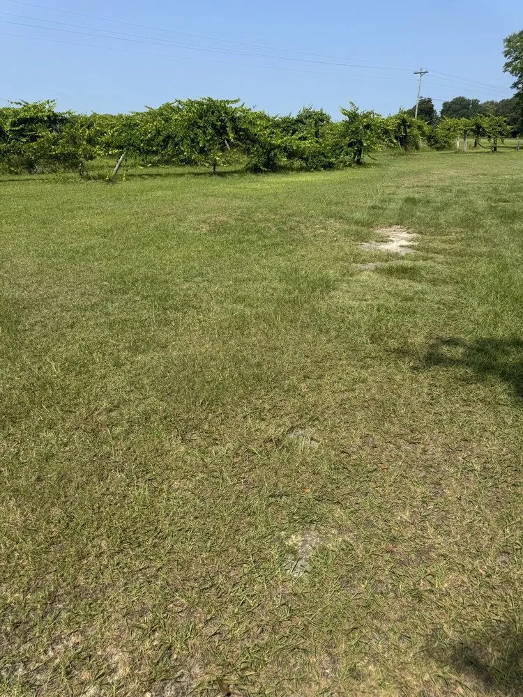 Custom landscape design for residential properties in Sanford, NC by All Black Garyl Lawn Care