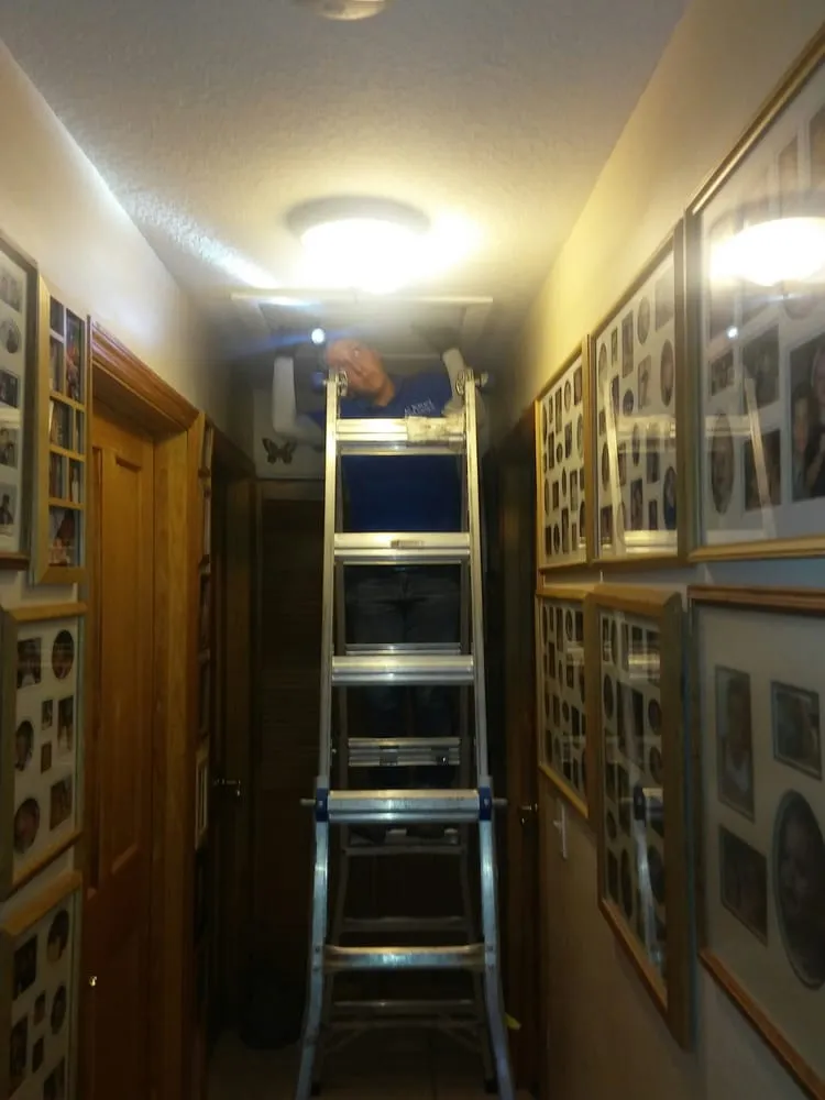 Reliable landscaping services in Cocoa, FL by All Brevard Lawn & Pest