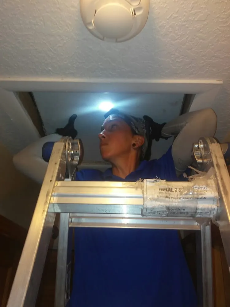 Expert landscape design with custom design in Cocoa, FL by All Brevard Lawn & Pest