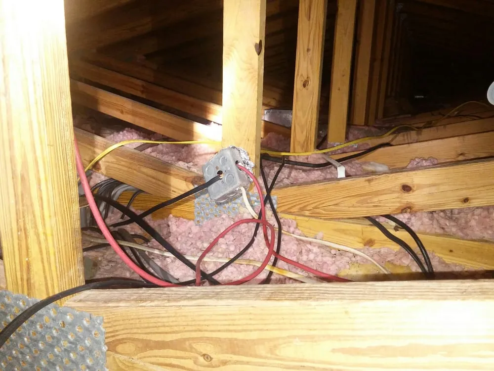 Custom landscape installation in Cocoa, FL - All Brevard Lawn & Pest