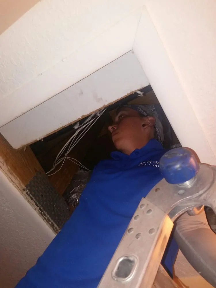 Reliable garden landscaping in Cocoa, FL by All Brevard Lawn & Pest