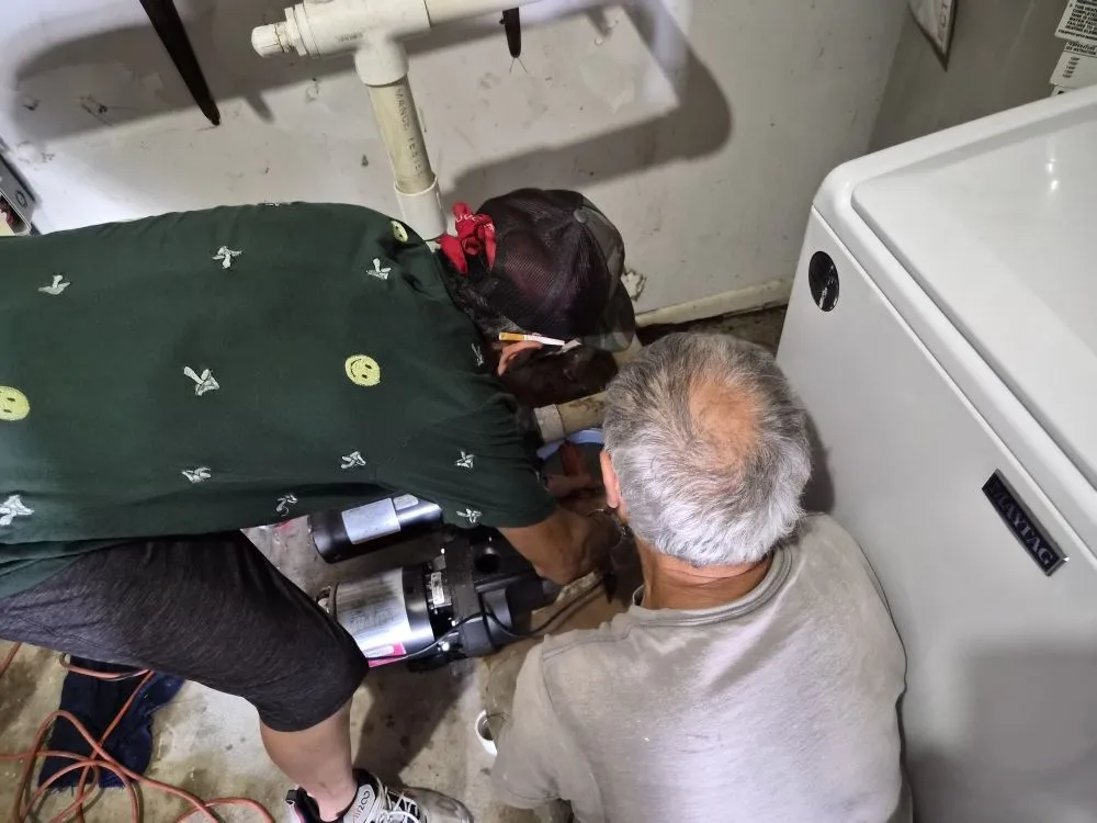 Local lawn care service for year-round maintenance across Melbourne, FL - All Brevard Renovation