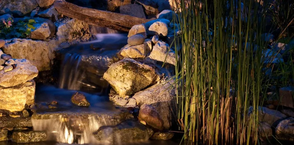 Reliable residential landscaping for year-round maintenance across Olmstedville, NY - All Bright Aquariums