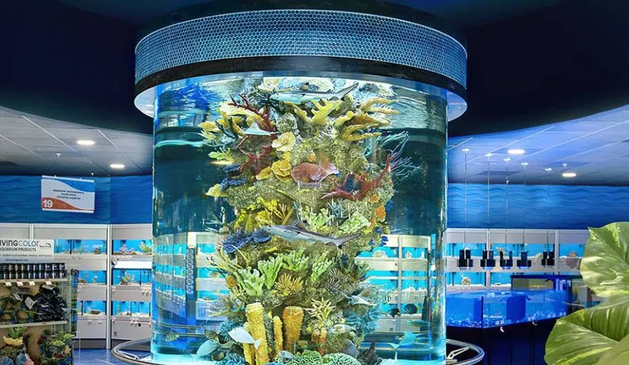 Affordable yard maintenance in Olmstedville, NY by All Bright Aquariums