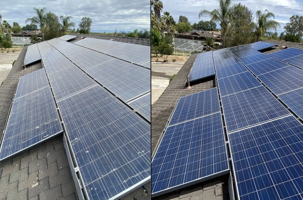 Expert yard maintenance in Fresno, CA - All-Bright Property Services