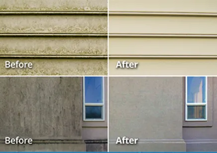 Custom yard maintenance for year-round maintenance across Fresno, CA - All-Bright Property Services