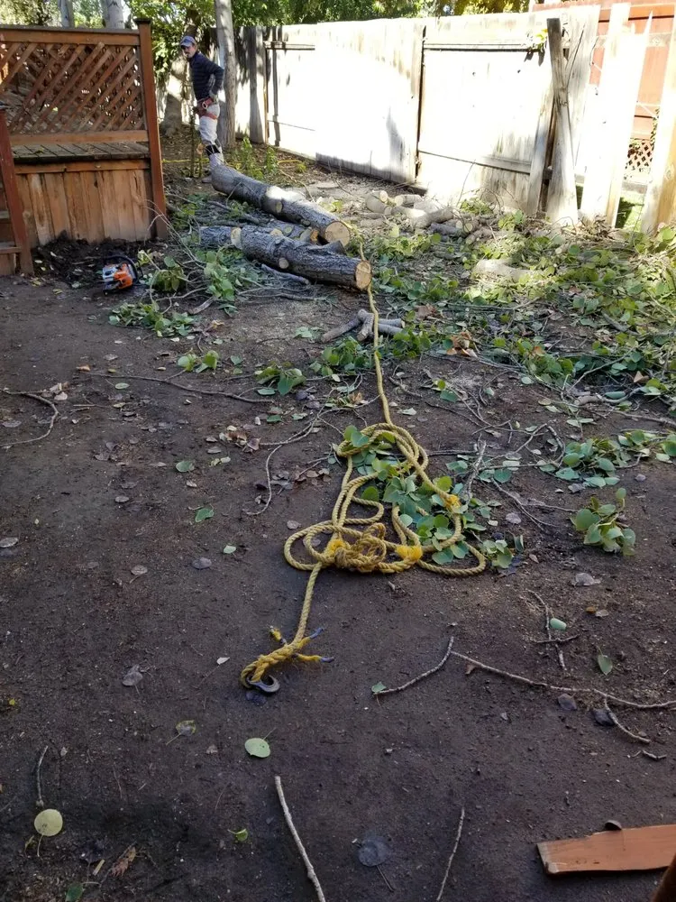 Top-rated lawn mowing service in Heyburn, ID by All-Brite Services