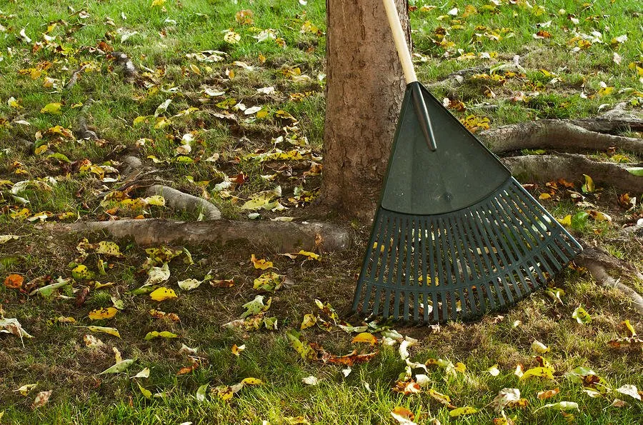 Reliable yard maintenance experts serving Union City, IN - All Brothers Lawn Squad