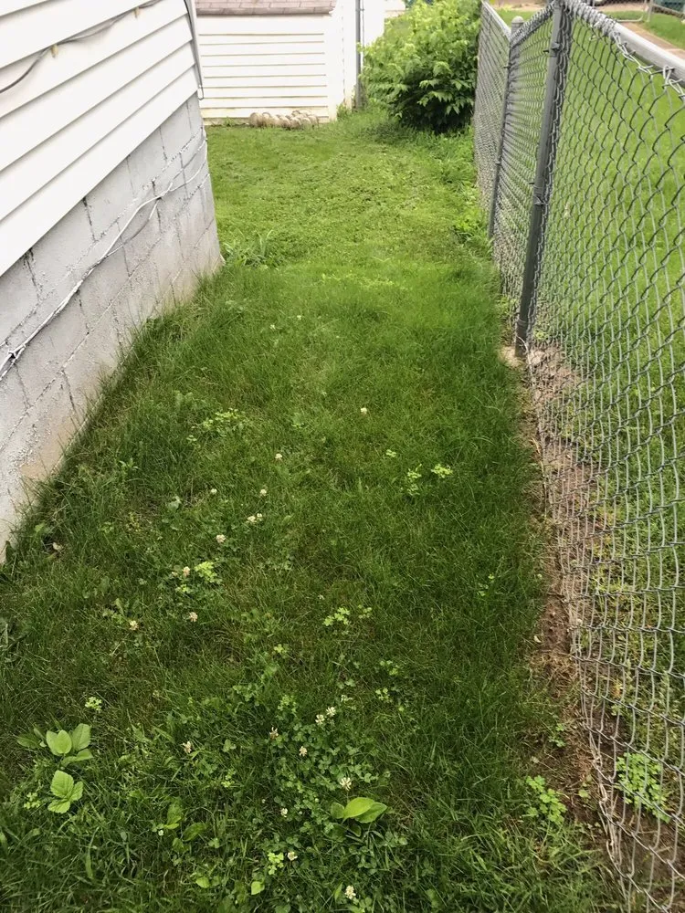 Reliable yard cleanup service for year-round maintenance in Union City, IN by All Brothers Lawn Squad