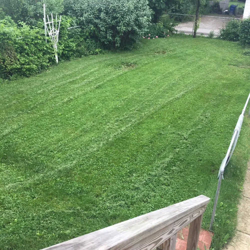 Expert landscaping services in Union City, IN by All Brothers Lawn Squad