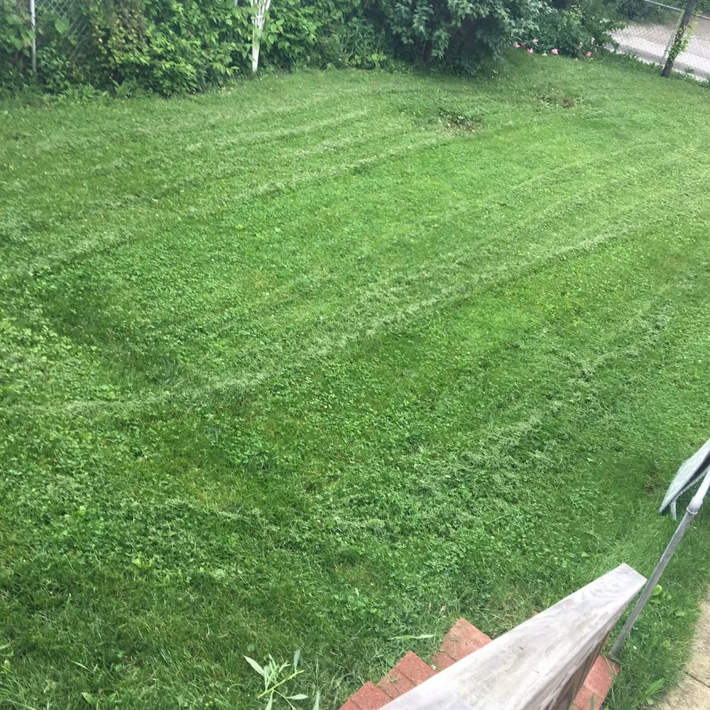 Expert yard maintenance for beautiful yards across Union City, IN - All Brothers Lawn Squad