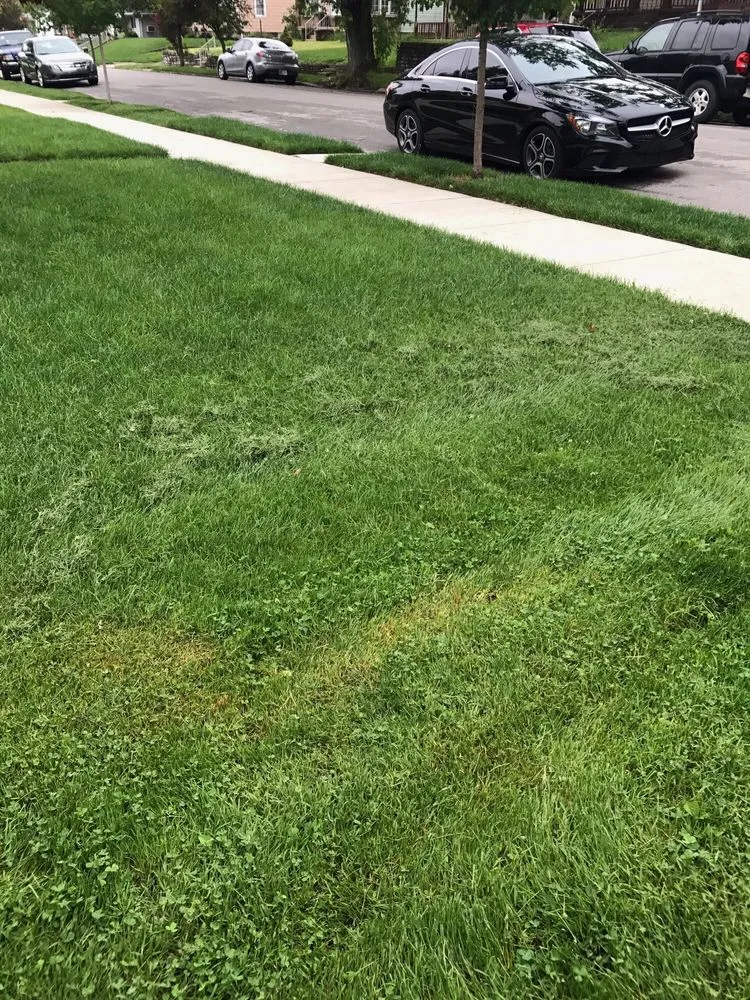 Affordable outdoor landscaping for beautiful yards across Union City, IN - All Brothers Lawn Squad