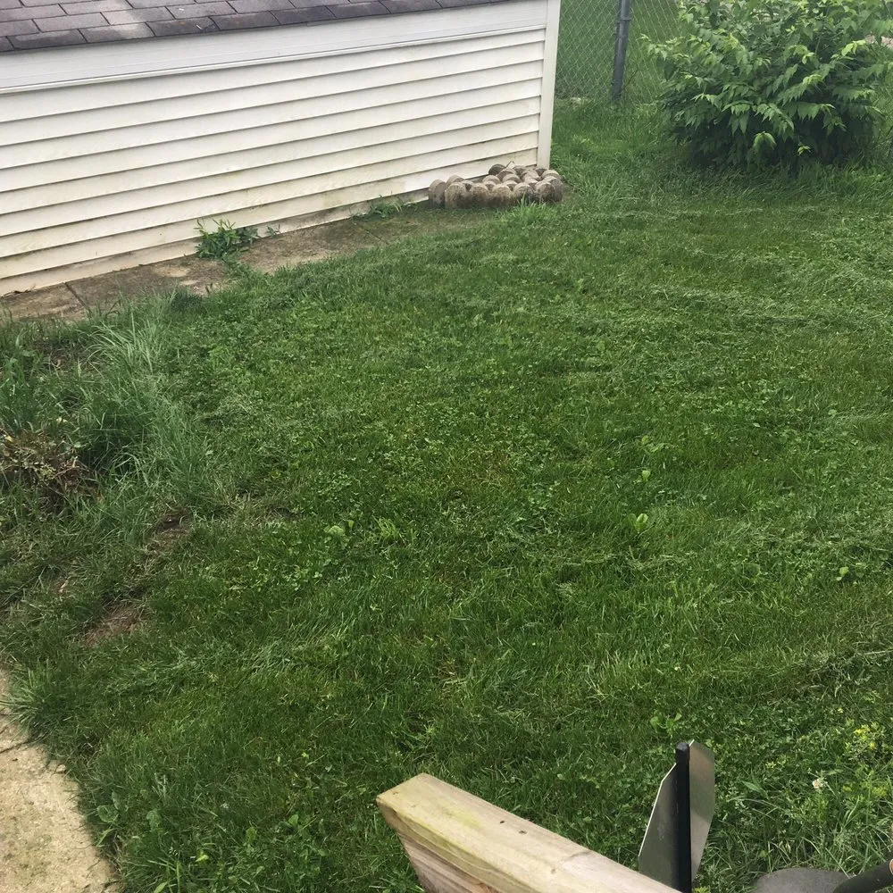 Top-rated landscaping services for homes across Union City, IN - All Brothers Lawn Squad