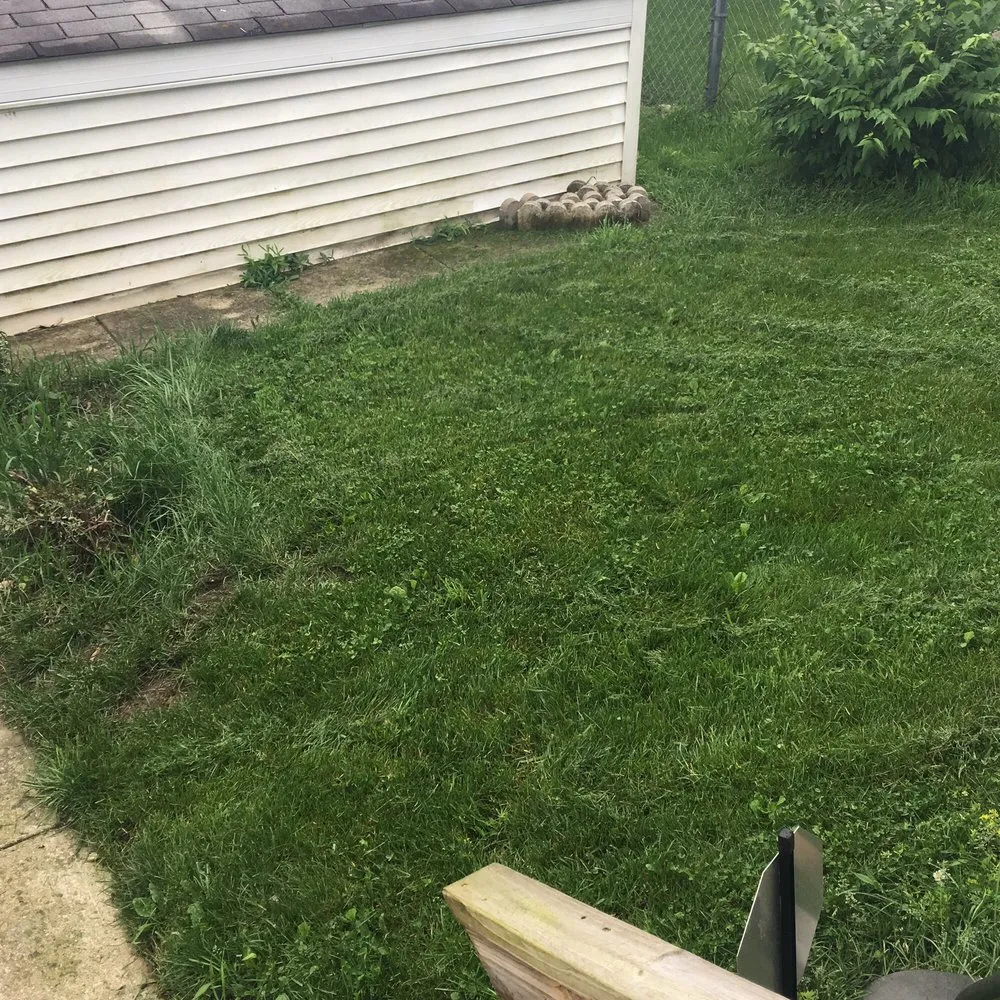 Top-rated landscape installation near you in Union City, IN by All Brothers Lawn Squad