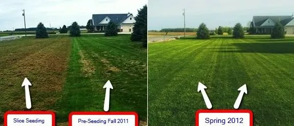 Top-rated yard maintenance in Union City, IN by All Brothers Lawn Squad