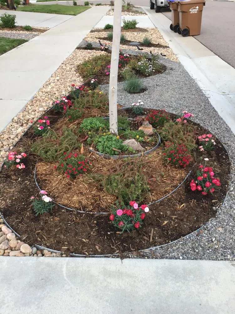 Affordable landscape installation in Aurora, CO - All Budget Landscaping