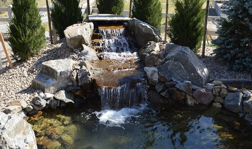 Professional yard cleanup service with custom design in Aurora, CO by All Budget Landscaping