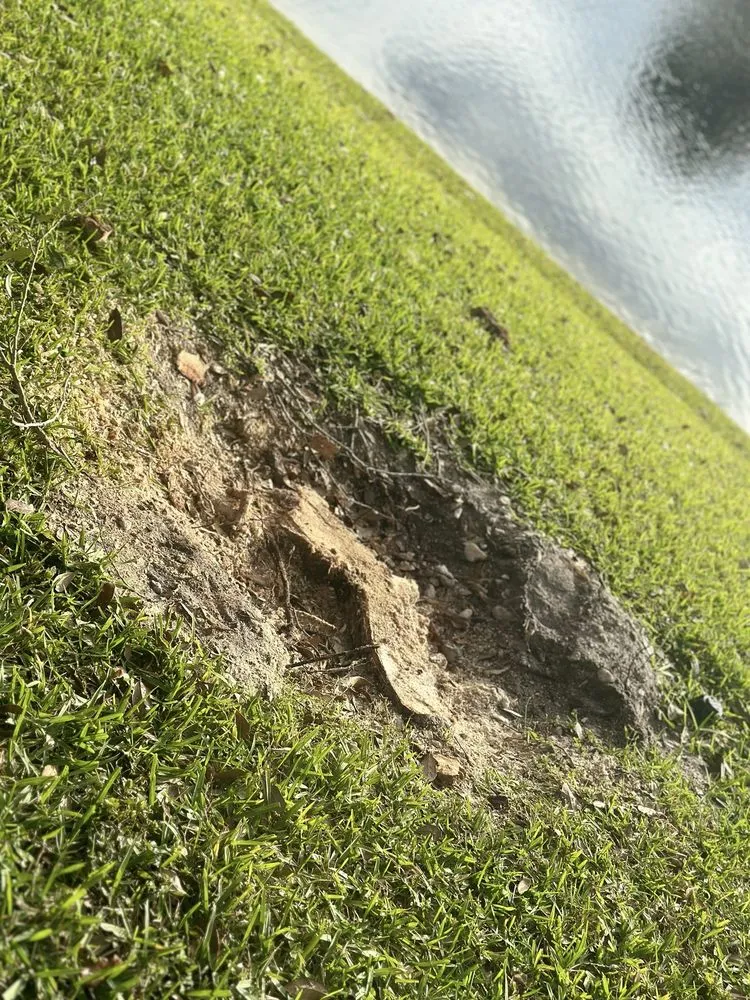 Top-rated garden landscaping experts serving West Palm Beach, FL - All Budget Trees and Lawn Service